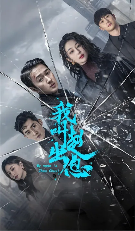 我叫赵出息海报